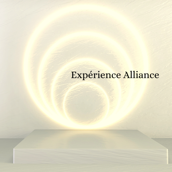 Copie de Experience Alliance
