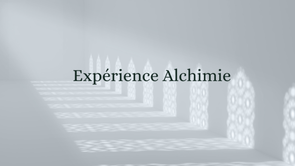 Experince alchimie